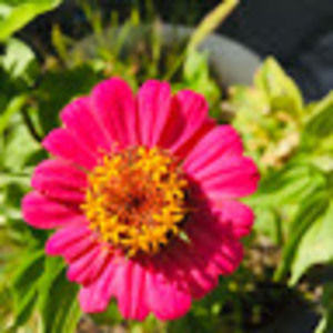 Meet your Posher, Sam